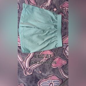 Garanimals Teal Shorts